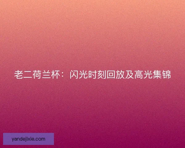 老二荷兰杯：闪光时刻回放及高光集锦